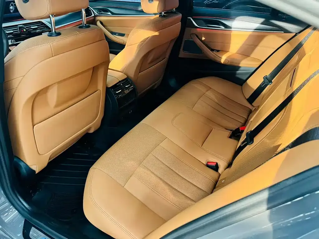 BMW 5 Series (Import) 2021 из CN, фото 5