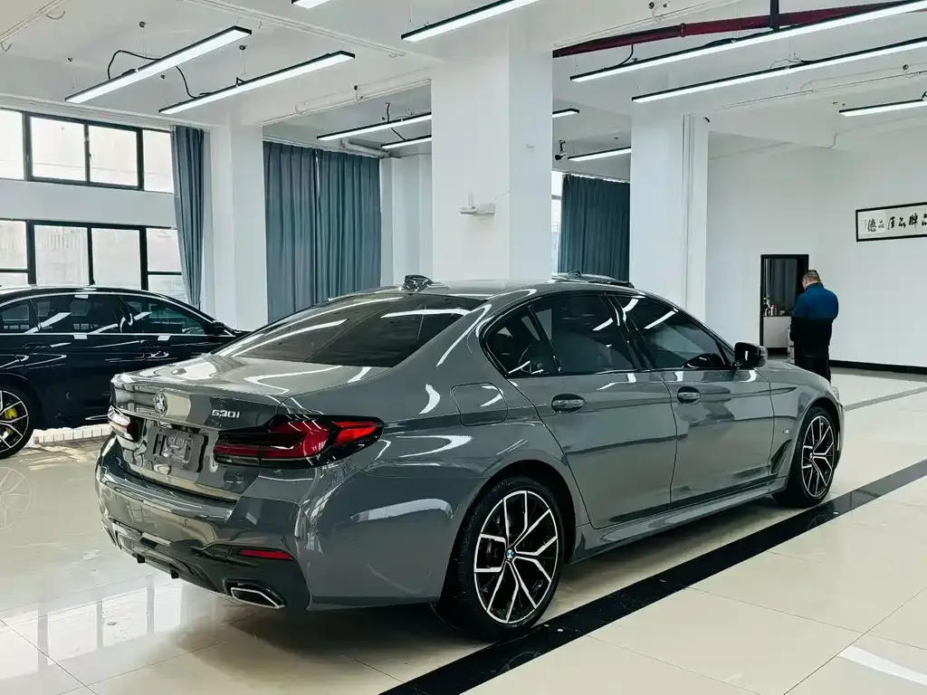 BMW 5 Series (Import) 2021 из CN, фото 8