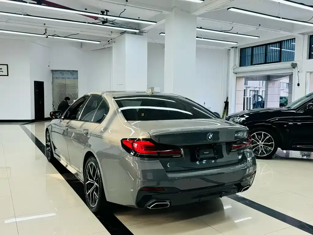 BMW 5 Series (Import) 2021 из CN, фото 7