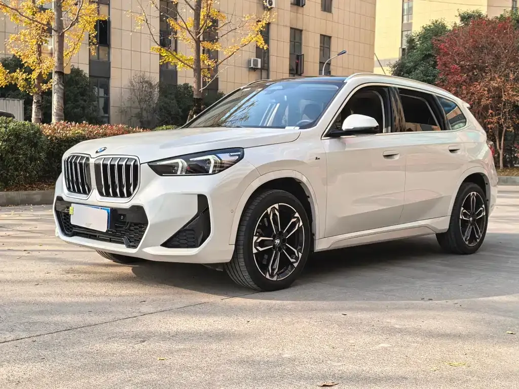 BMW X1 — фото 1