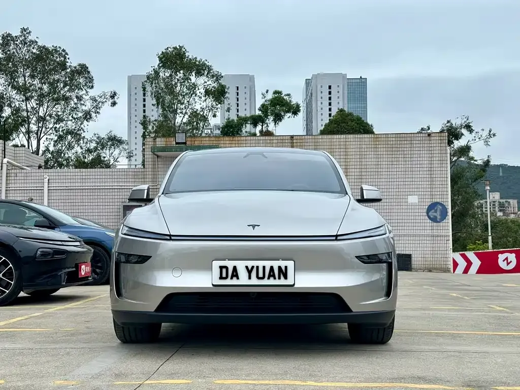 Tesla Model Y L 2025 из CN, фото 6
