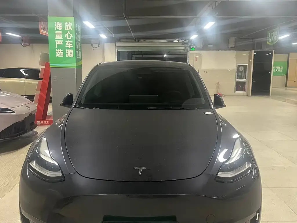 Tesla Model Y — фото 2
