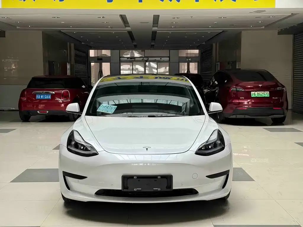 Tesla Model 3 2021 из CN, фото 6