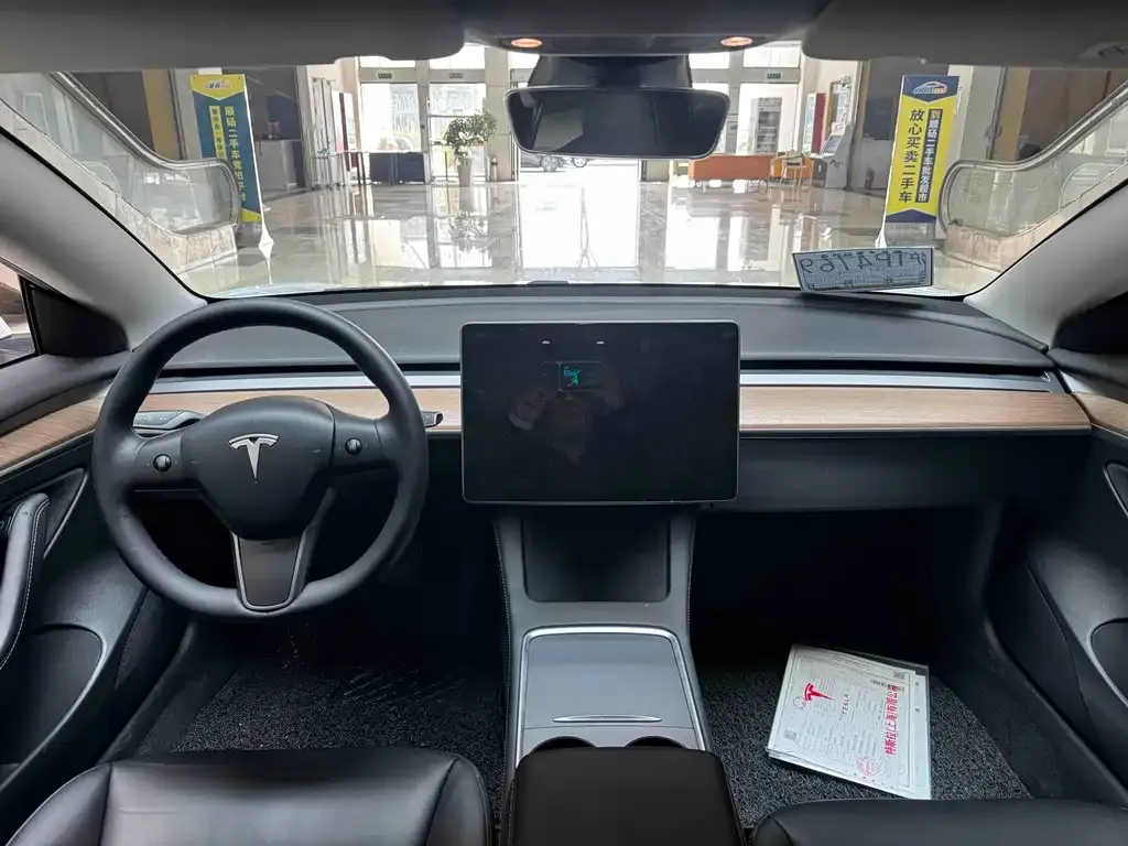 Tesla Model 3 2021 из CN, фото 5