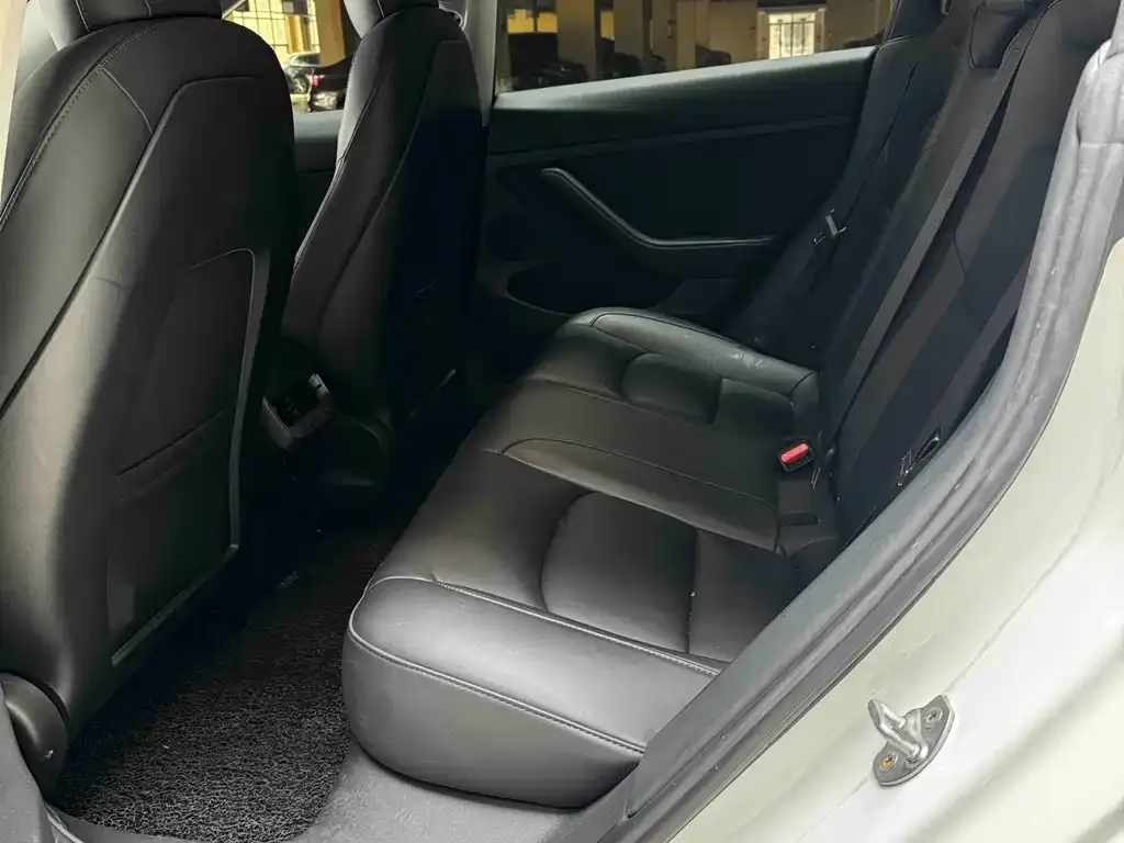 Tesla Model 3 2021 из CN, фото 4