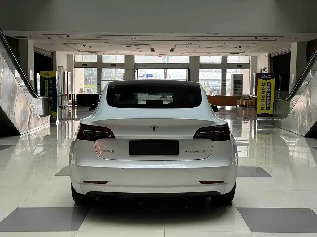 Tesla Model 3 2021 из CN, фото 7