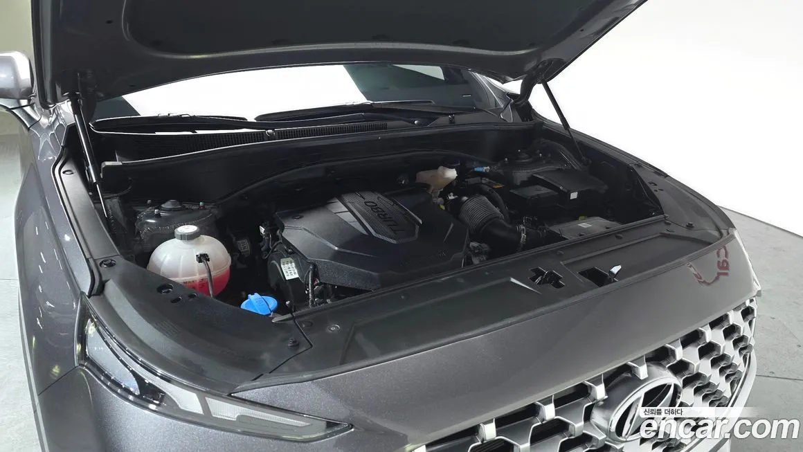 Hyundai Santafe 2021 из KR, фото 6