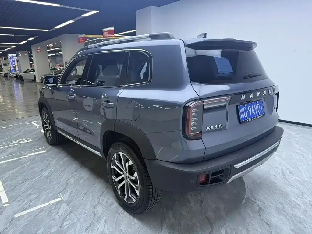 Haval Big Dog 2022 из CN, фото 9