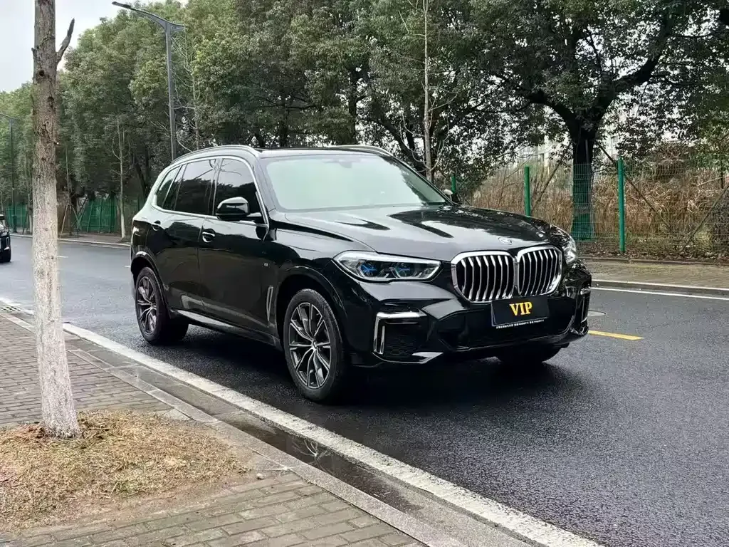 BMW X5 2022 из CN, фото 5