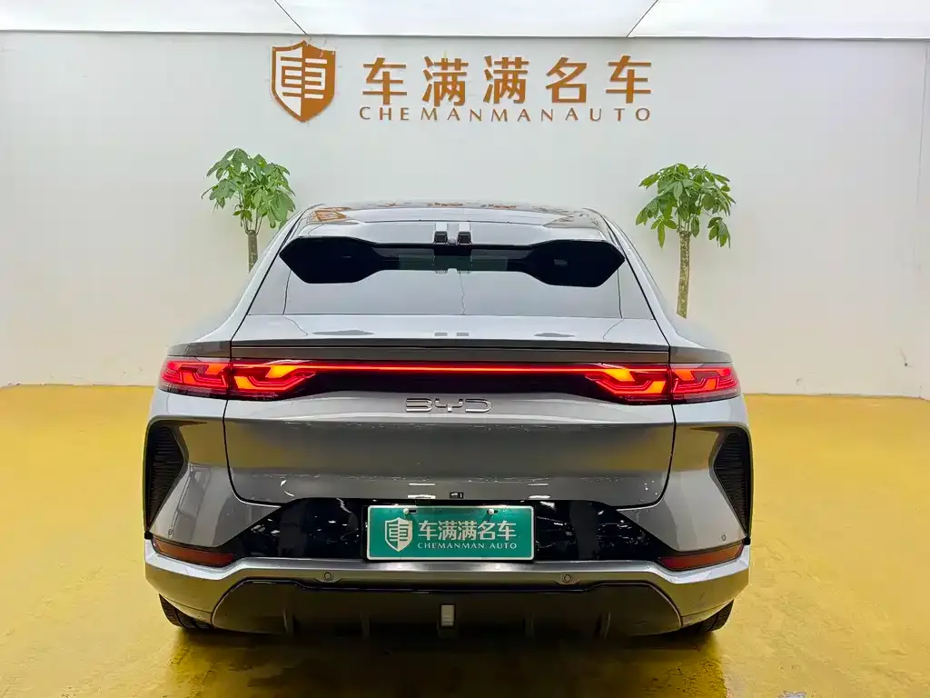 BYD L EV 2024 из CN, фото 2