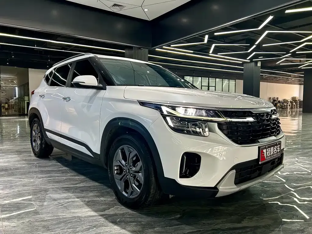 Kia Seltos 2024 из CN, фото 6