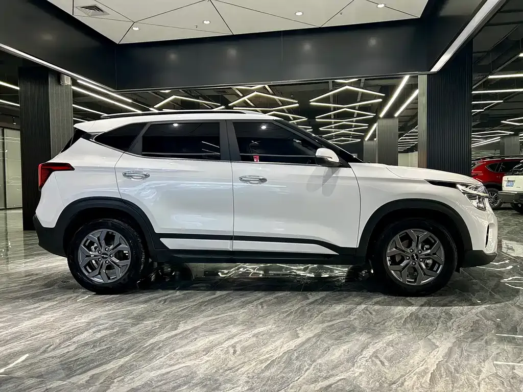Kia Seltos 2024 из CN, фото 2
