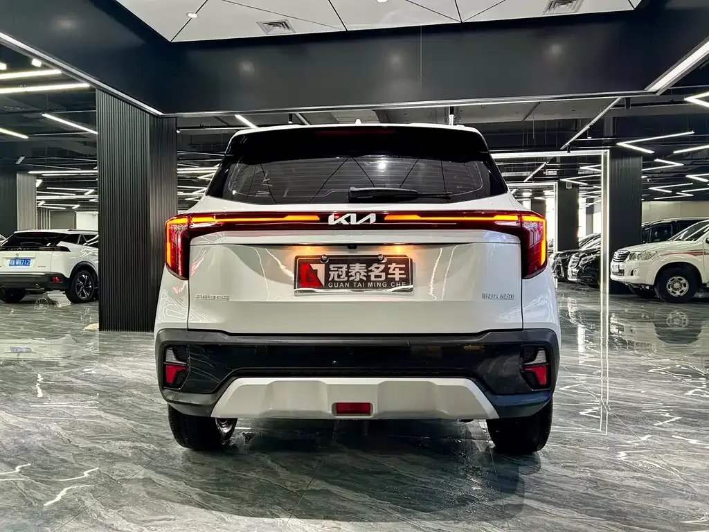 Kia Seltos 2024 из CN, фото 9