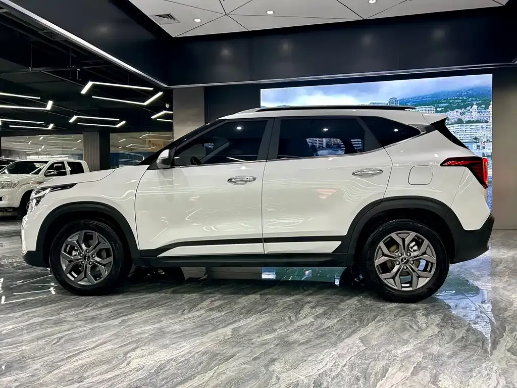 Kia Seltos 2024 из CN, фото 10