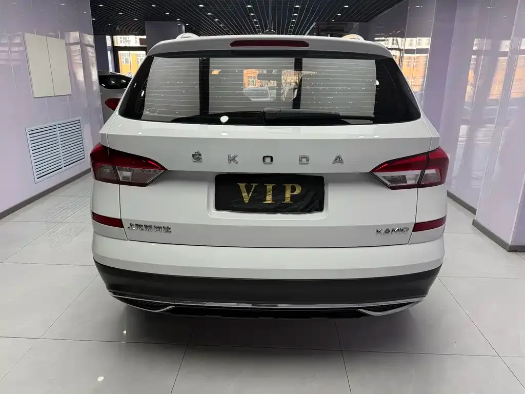 Skoda Kamiq 2022 из CN, фото 3