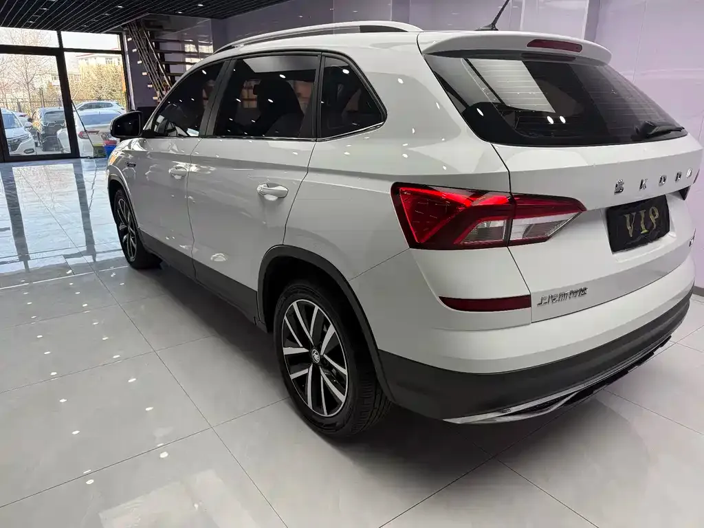 Skoda Kamiq 2022 из CN, фото 5