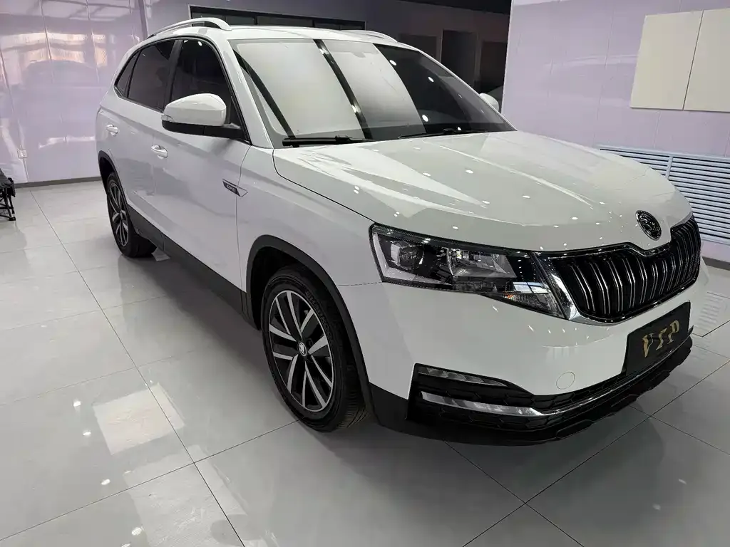 Skoda Kamiq 2022 из CN, фото 6