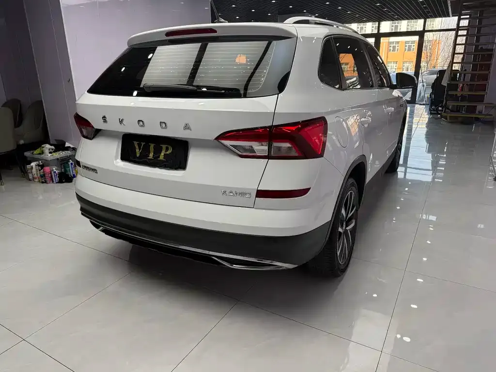 Skoda Kamiq 2022 из CN, фото 9