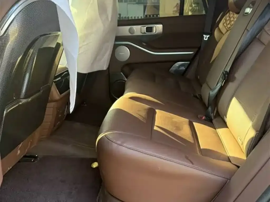 Tank 700 New Energy 2024 из CN, фото 6