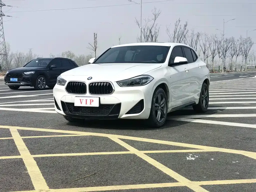 BMW X2 2021 из CN, фото 1