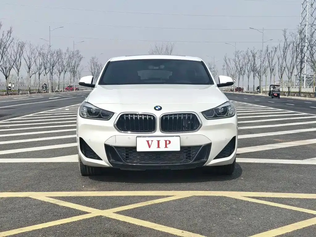 BMW X2 2021 из CN, фото 3