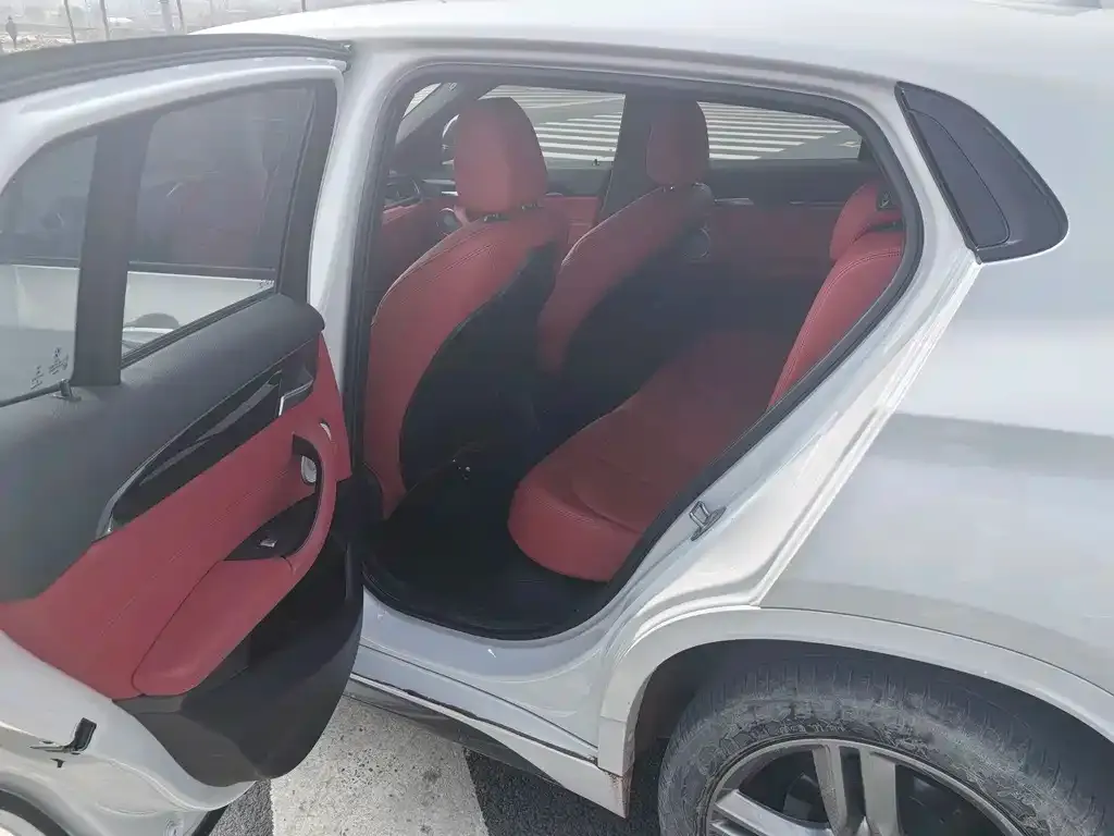 BMW X2 2021 из CN, фото 2