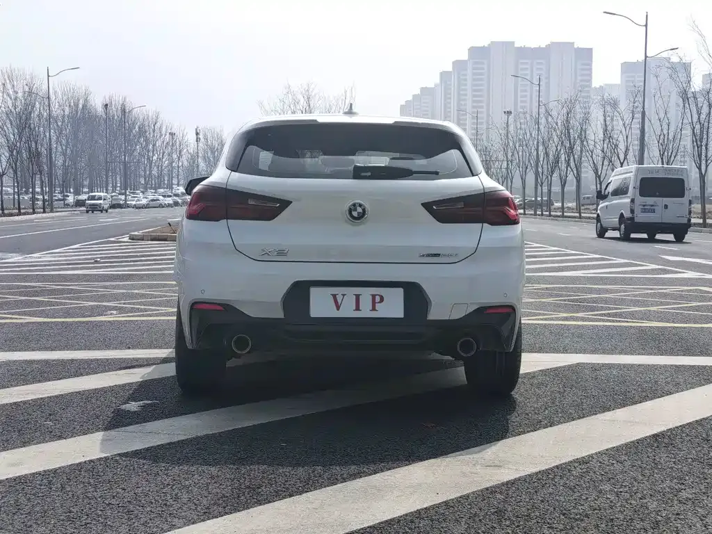 BMW X2 2021 из CN, фото 4