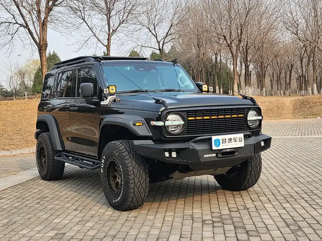 Tank 300 2023 из CN, фото 9