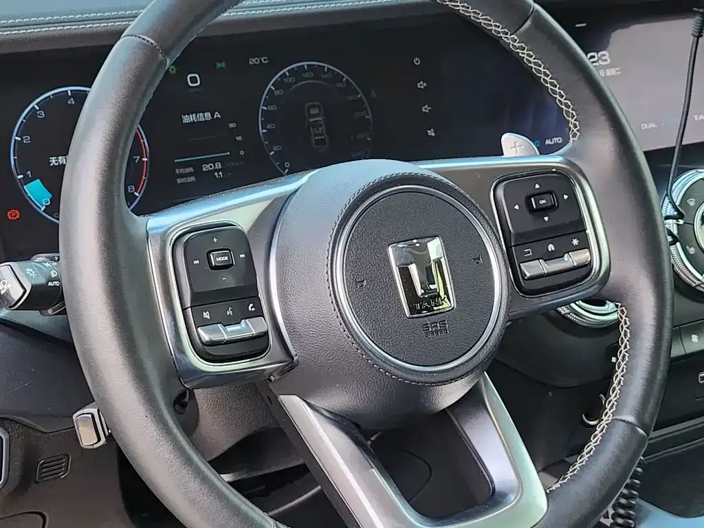 Tank 300 2023 из CN, фото 8