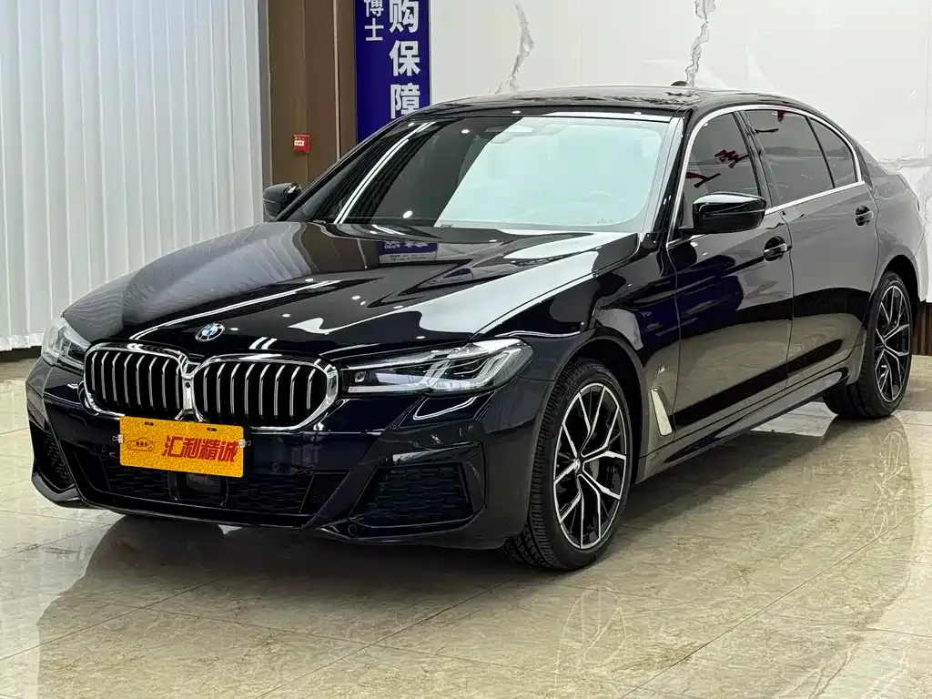 BMW 5 Series 2022 из CN, фото 1