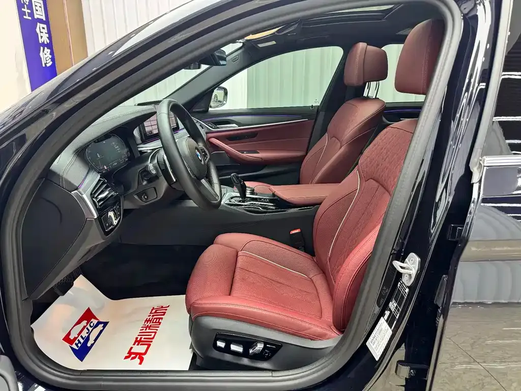 BMW 5 Series 2022 из CN, фото 8