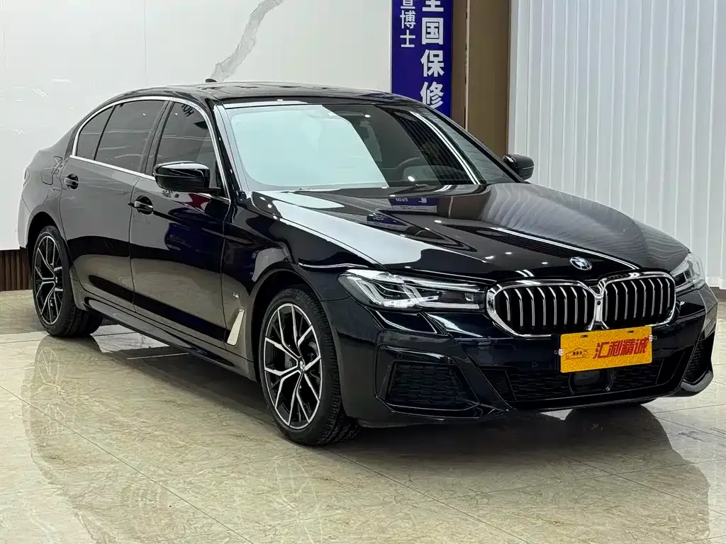 BMW 5 Series 2022 из CN, фото 7
