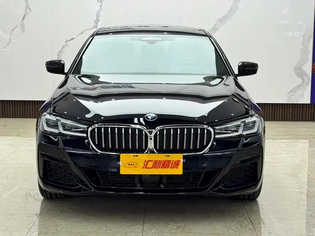 BMW 5 Series 2022 из CN, фото 4