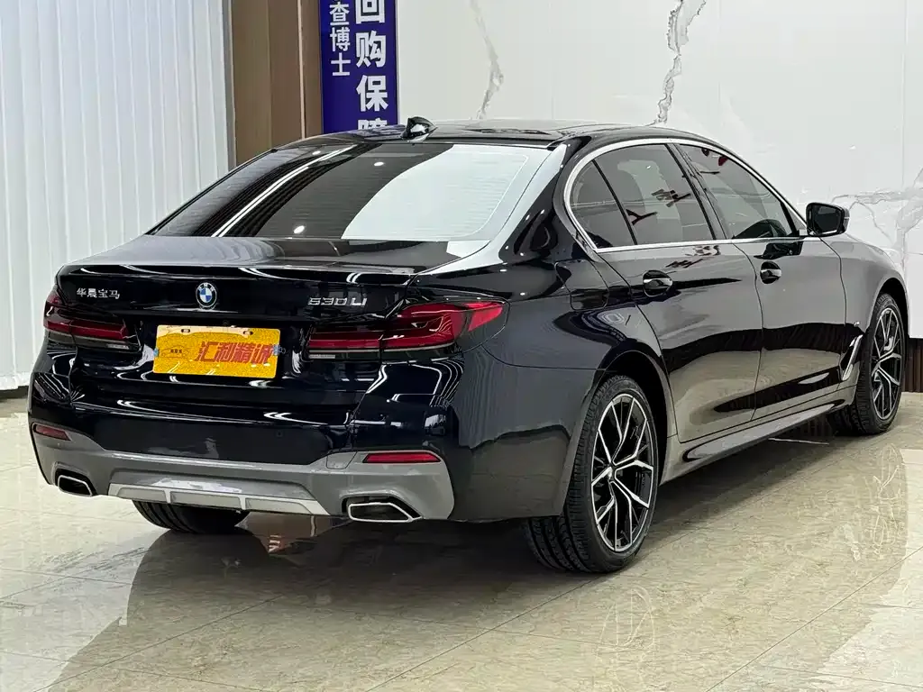 BMW 5 Series 2022 из CN, фото 5