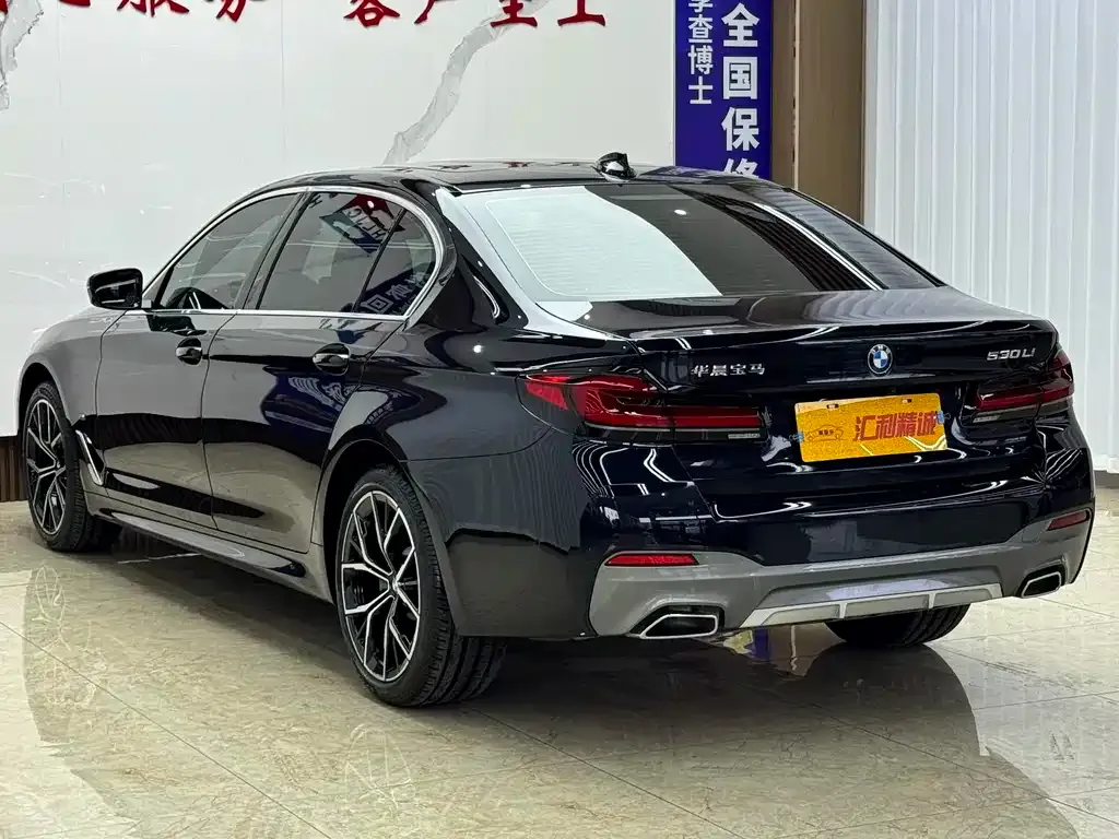 BMW 5 Series 2022 из CN, фото 6