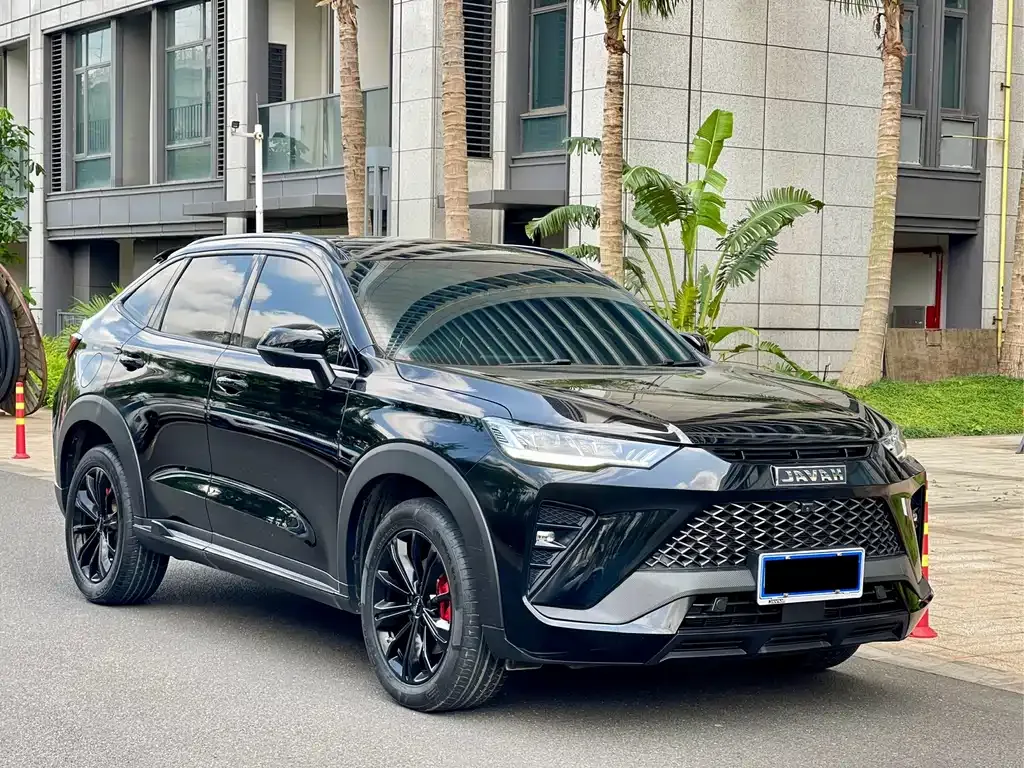 Haval H6S 2022 из CN, фото 4