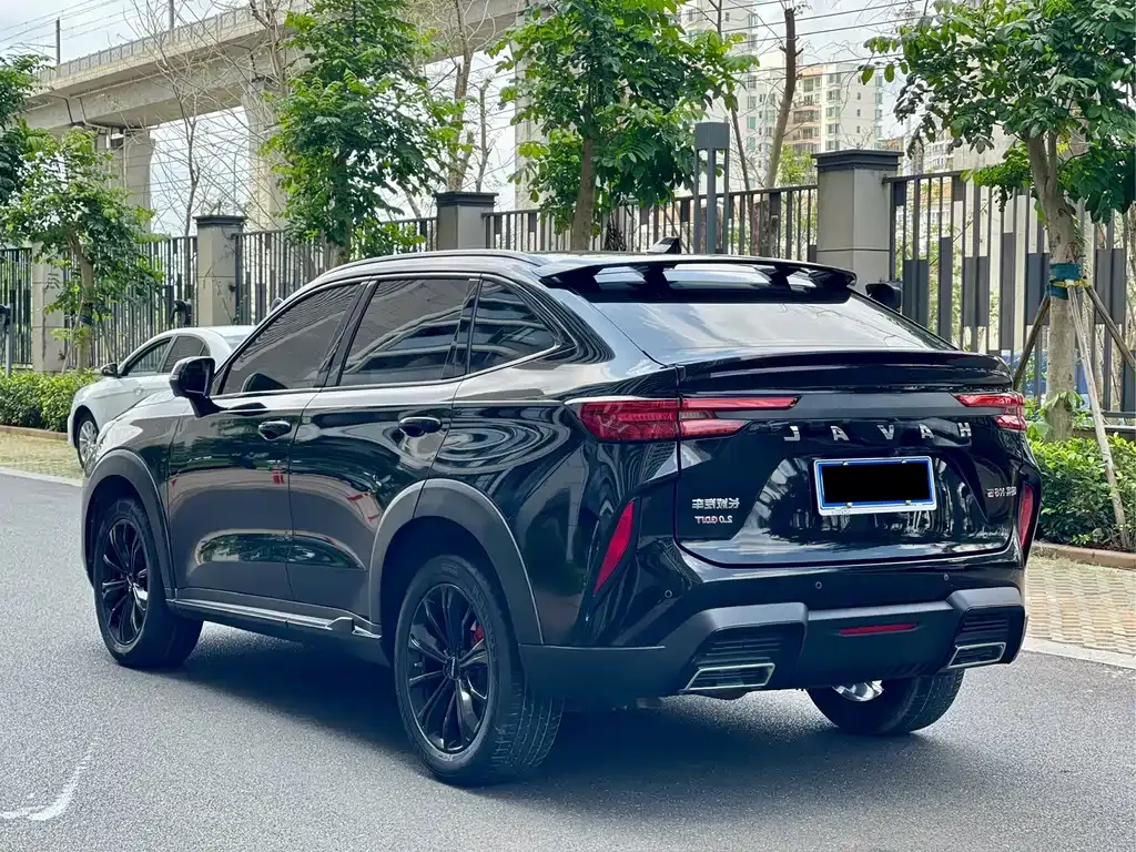 Haval H6S 2022 из CN, фото 8