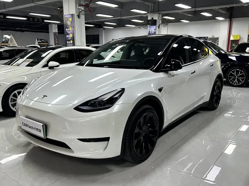Tesla Model Y — фото 1