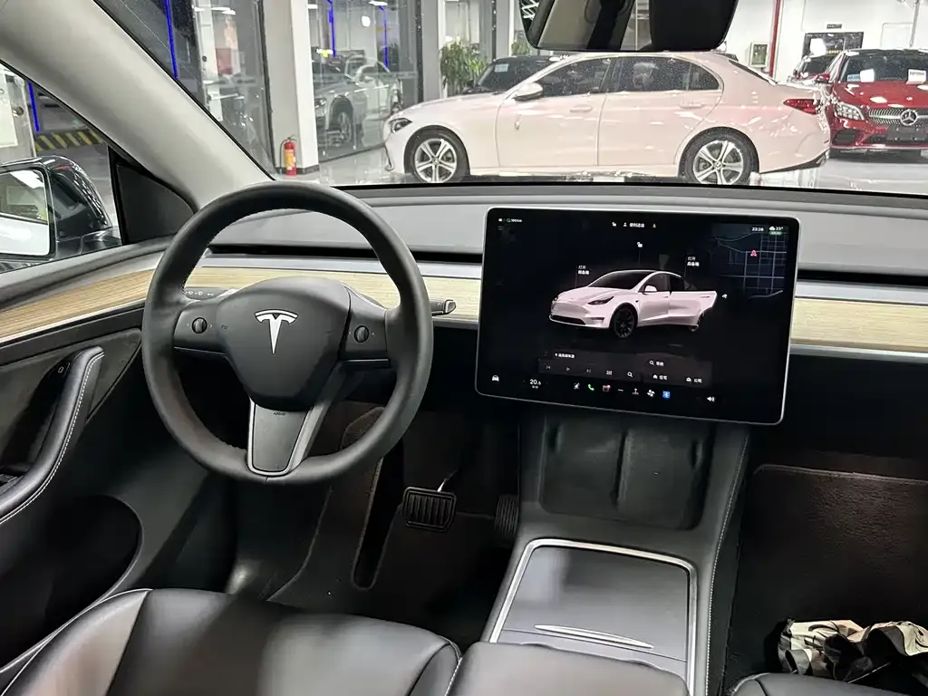 Tesla Model Y — фото 10