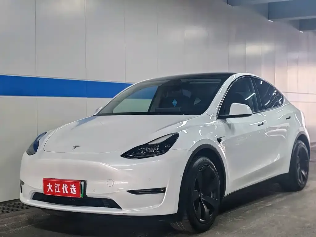 Tesla Model Y — фото 1