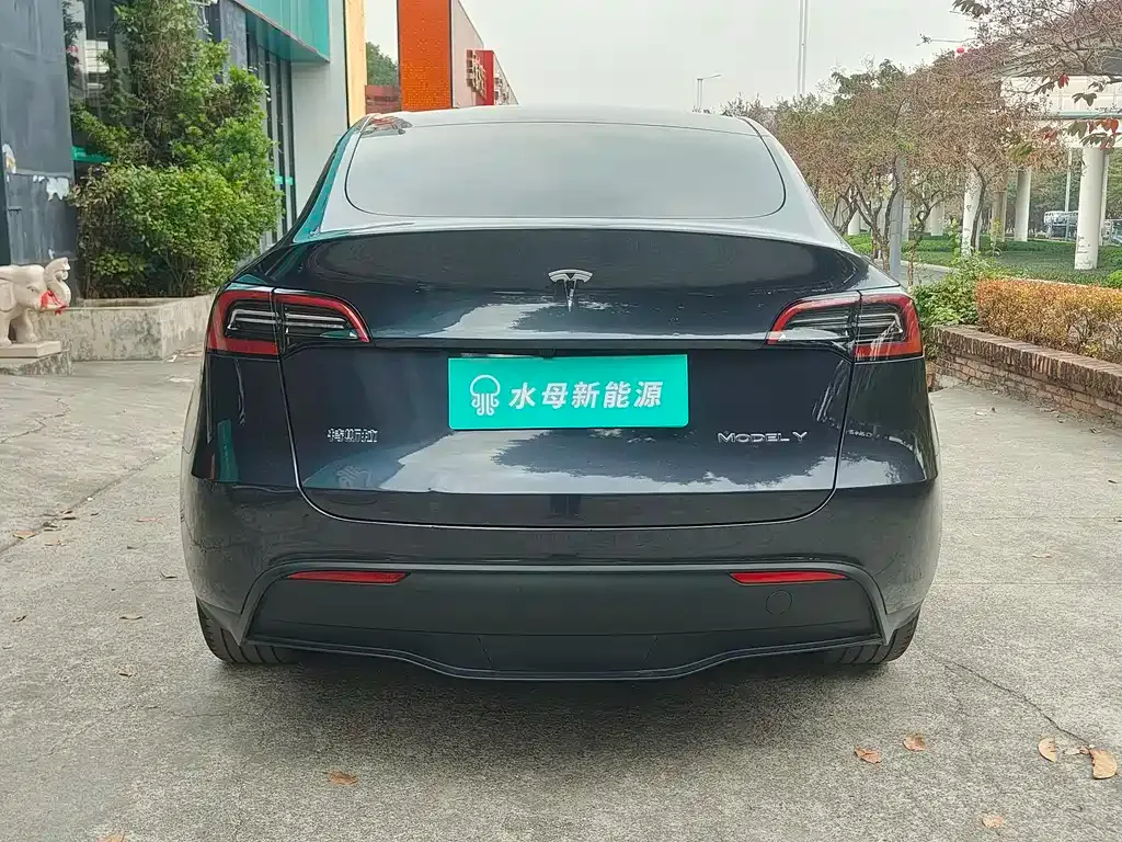 Tesla Model Y — фото 10