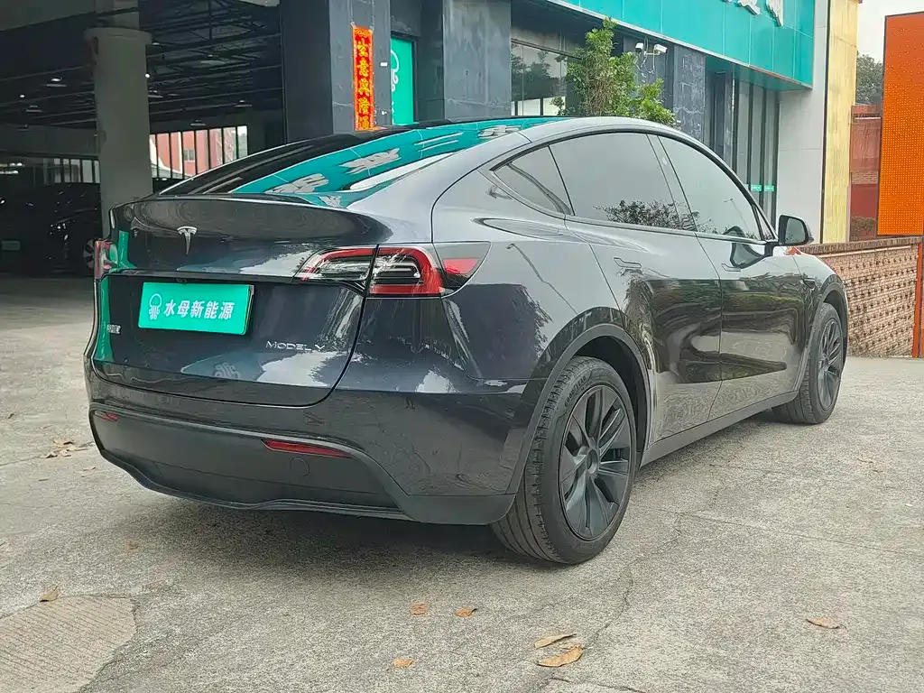 Tesla Model Y — фото 5