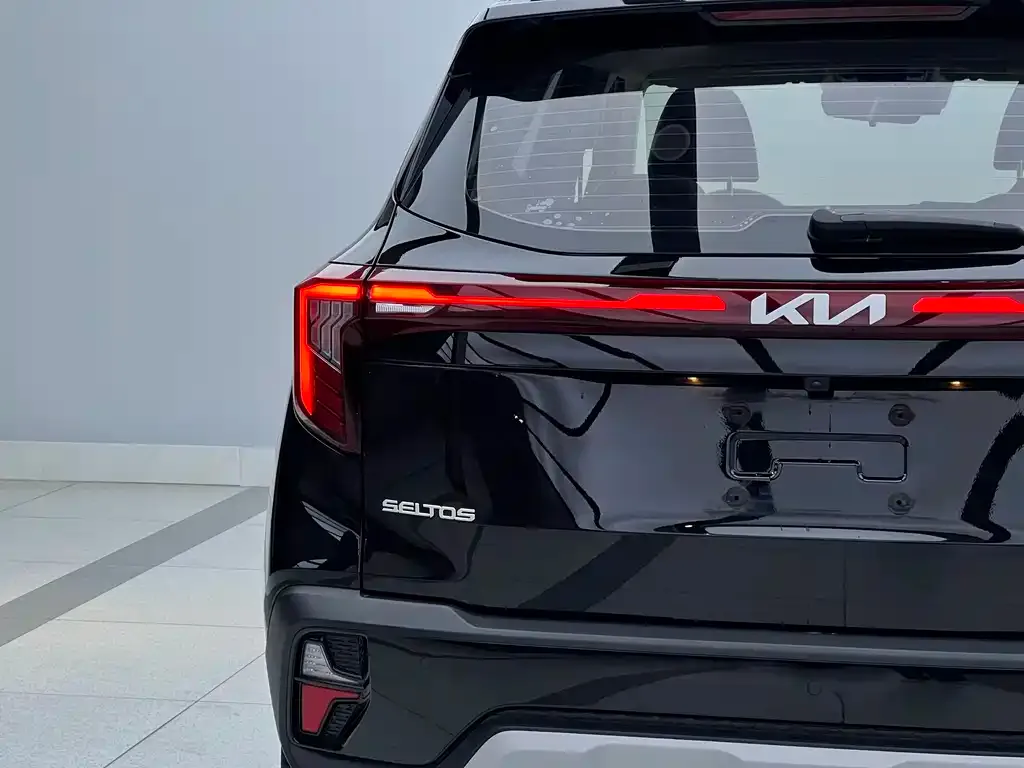 Kia Seltos 2024 из CN, фото 4