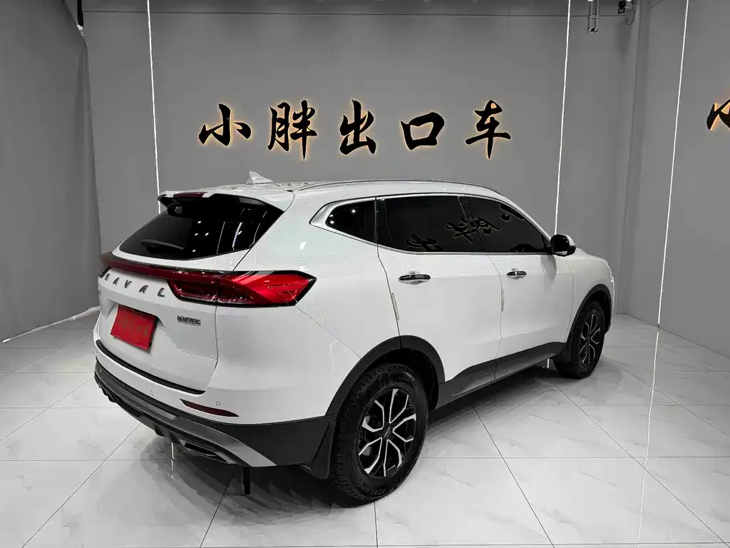 Haval H6 — фото 6