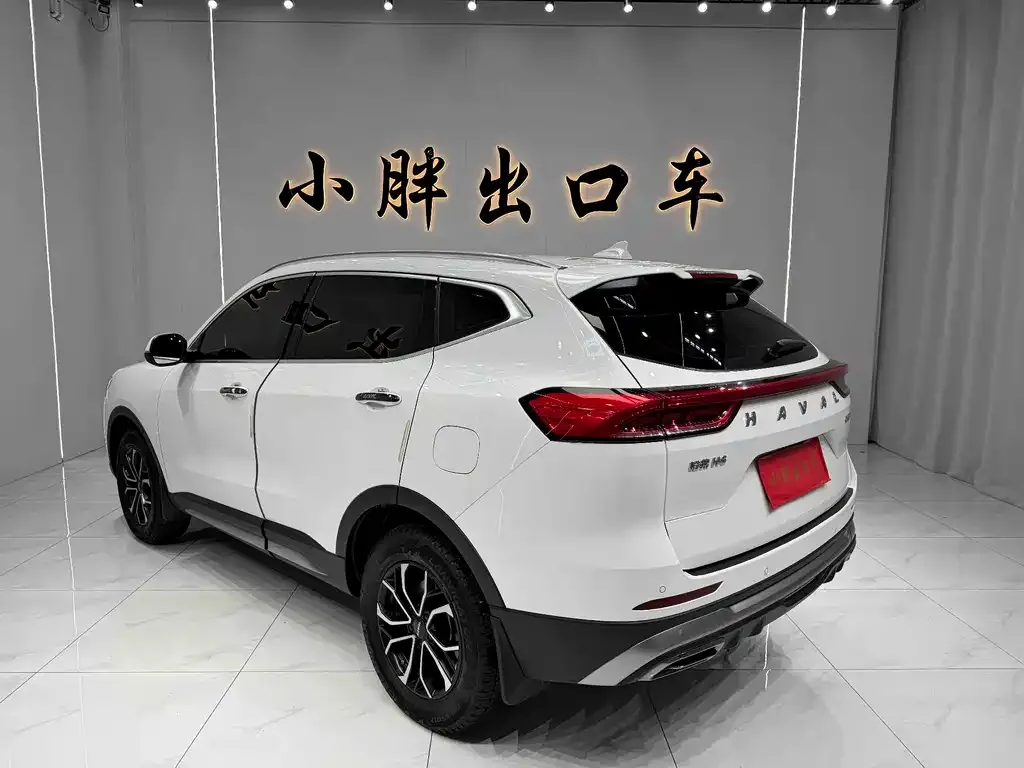 Haval H6 — фото 10