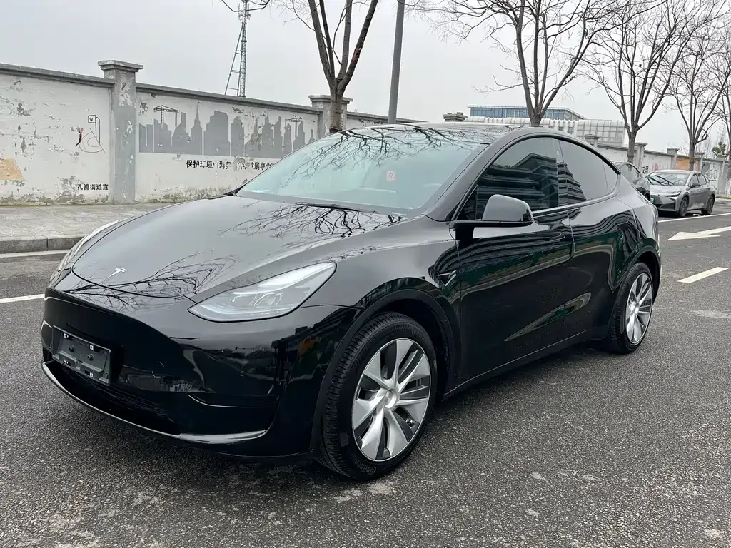 Tesla Model Y 2023 из CN, фото 1