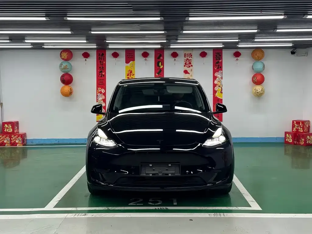 Tesla Model Y — фото 3