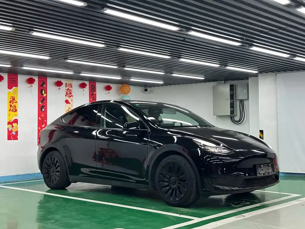 Tesla Model Y — фото 4