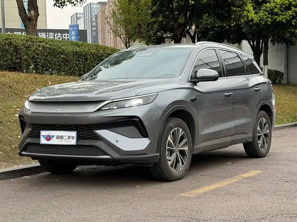 BYD Pro New Energy 2025 из CN, фото 1