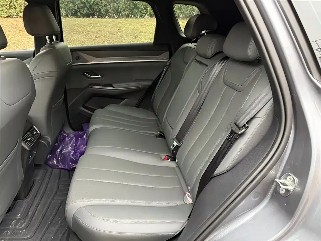 BYD Pro New Energy 2025 из CN, фото 9